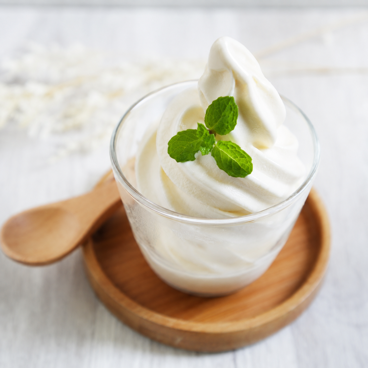 Yogurt Soft Ice Cream Powder Factory